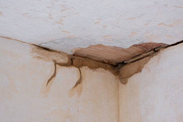 Best Residential water damage restoration  in Paddock Lake, WI