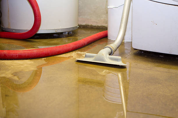 Best Mold removal after water damage  in Paddock Lake, WI