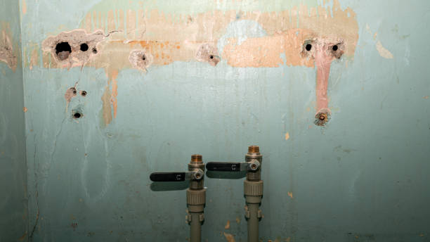 Best Ceiling water damage repair  in Paddock Lake, WI