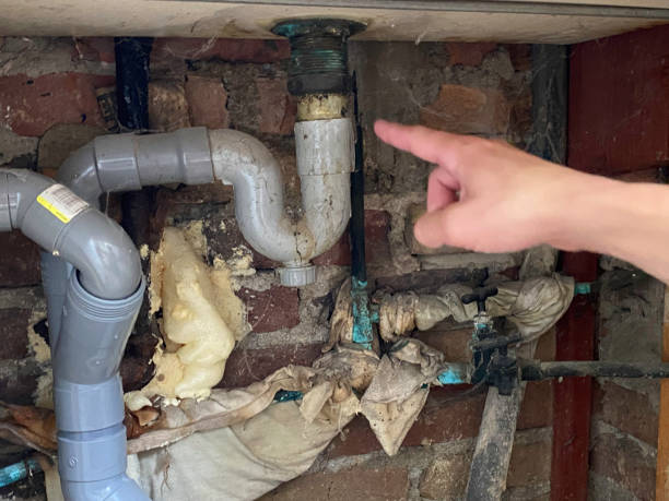 Best Water damage restoration mold remediation  in Paddock Lake, WI