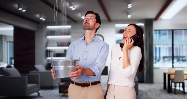 Best Water damage contractors near me  in Paddock Lake, WI
