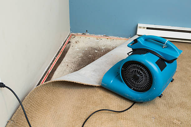 Best Fire Damage Restoration  in Paddock Lake, WI