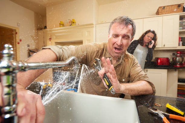 Best Carpet water damage restoration  in Paddock Lake, WI